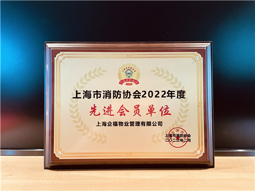 大阳城集团娱乐138官网公司荣获“上海市消防协会2022年度先进会员单位”